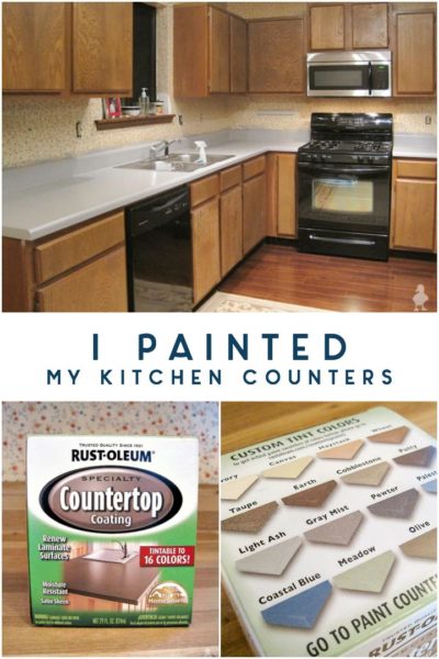 I Painted My Kitchen Countertops • Ugly Duckling House