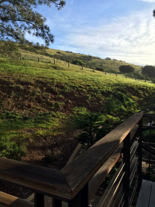 San Francisco hillside