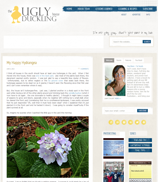 The Ugly Duckling House blog old layout