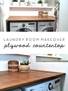 A Modern and Plant-Filled Laundry Room Makeover • Ugly Duckling House