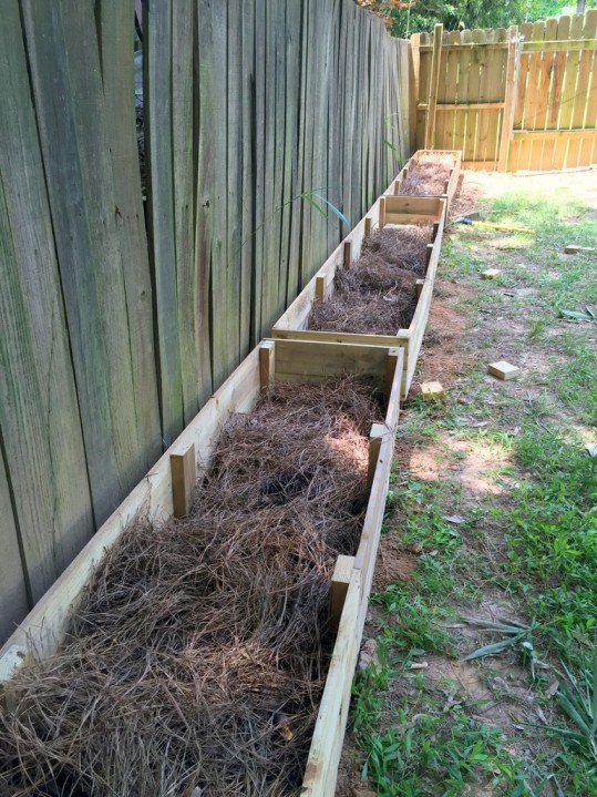 Lasagna Gardening: How to Layer a Raised Garden Bed