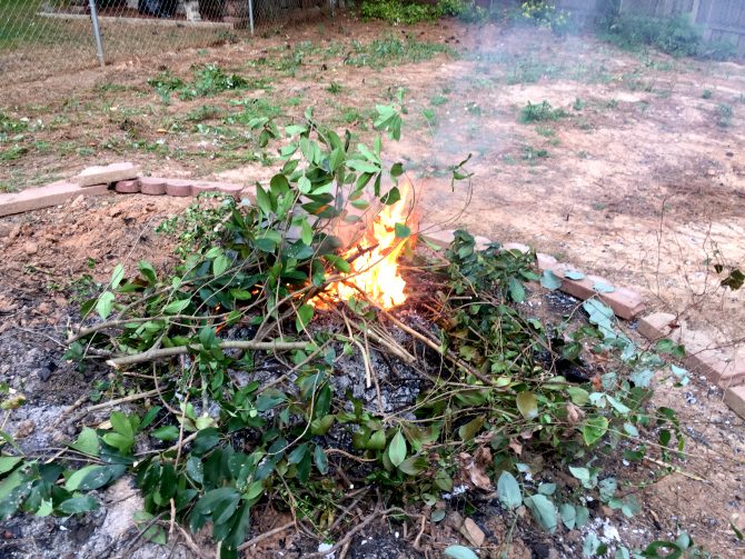 temporary fire pit to burn brush