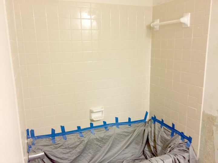 master bathroom shower - before