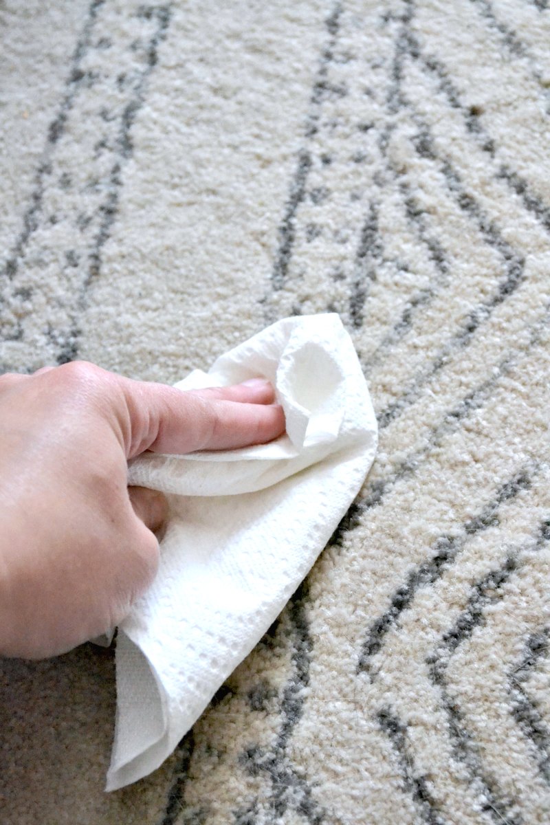 3 Shortcuts to Keep a White Rug Clean • Ugly Duckling House