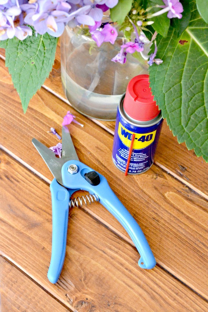 use wd-40 for keeping pruning shears rust free