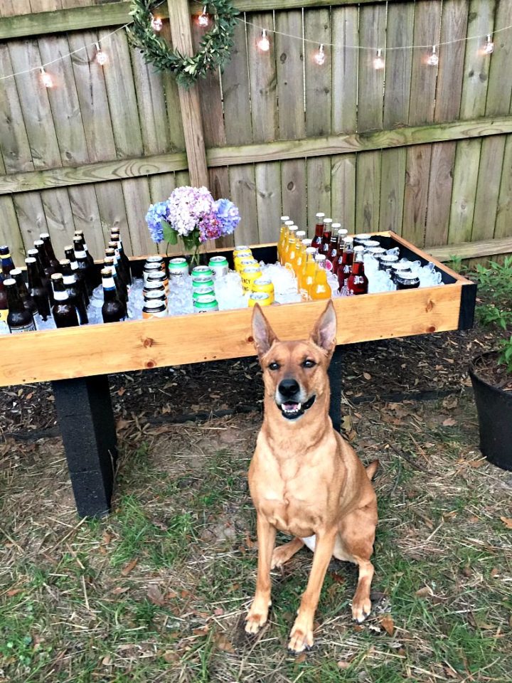 DIY Outdoor Drink Station for Backyard Entertaining • Ugly