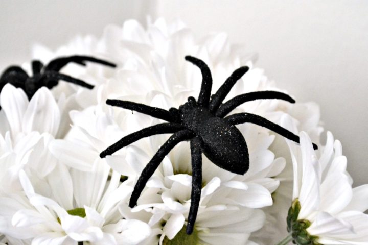 spiders on flower bouquet
