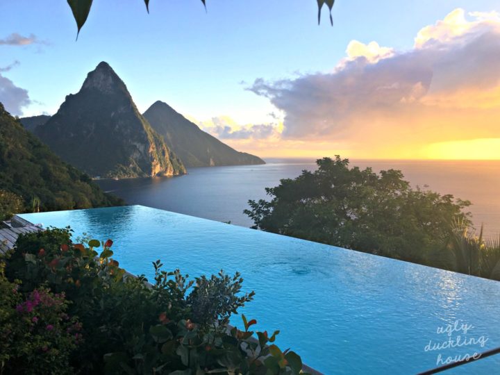 Thanksgiving in Saint Lucia - The Ugly Duckling House