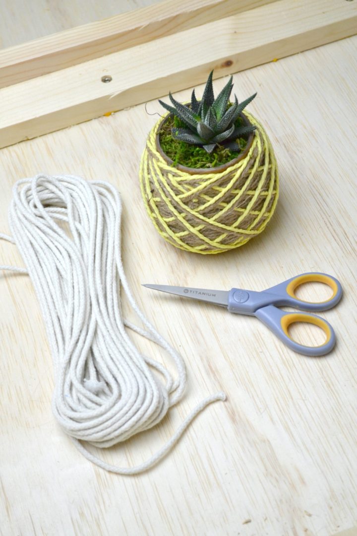 supplies for easy hanging planters
