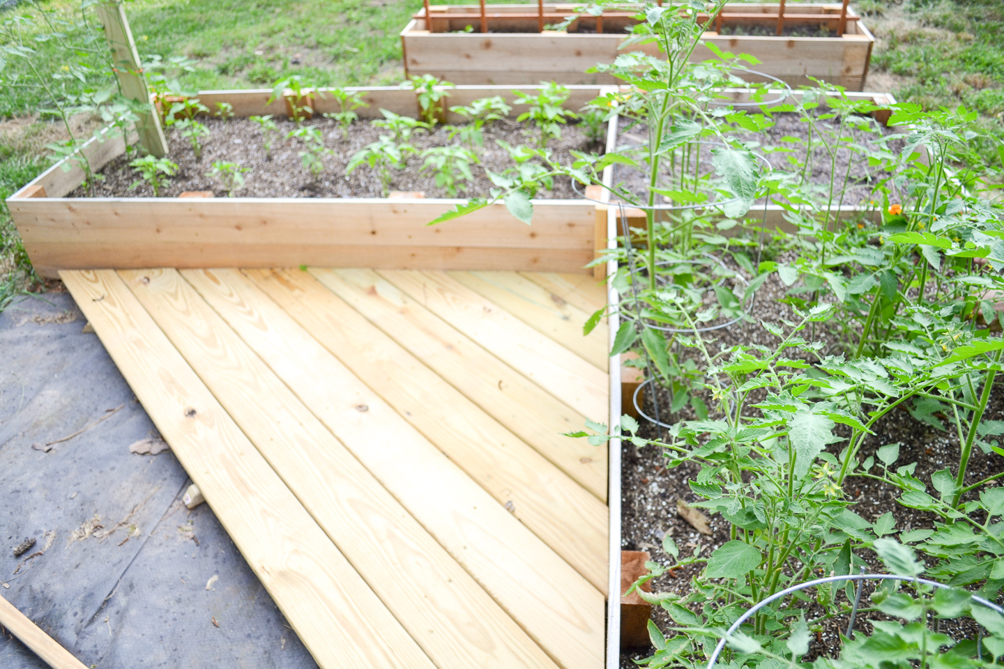 Small new garden deck - l-shaped raised garden bed