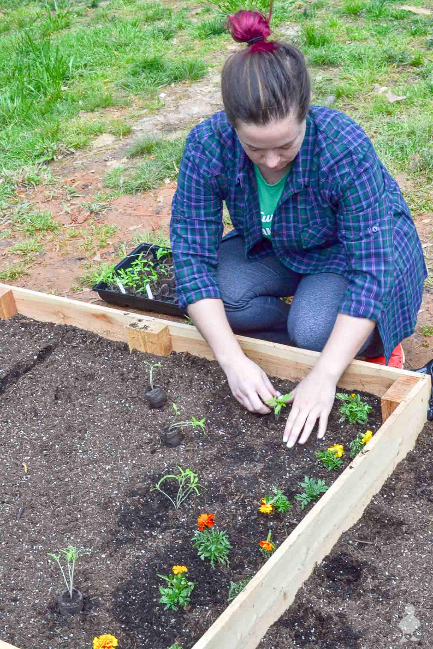 What Type of Garden Soil Is Best for Raised Beds? • Gardenary