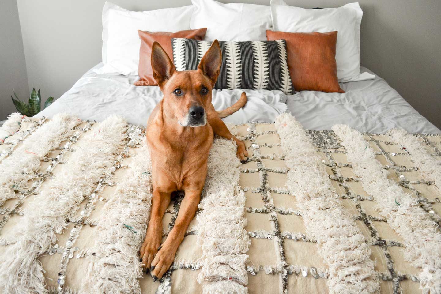 Charlie modelando a decoração do quarto principal - cobertor de casamento e travesseiros marroquinos