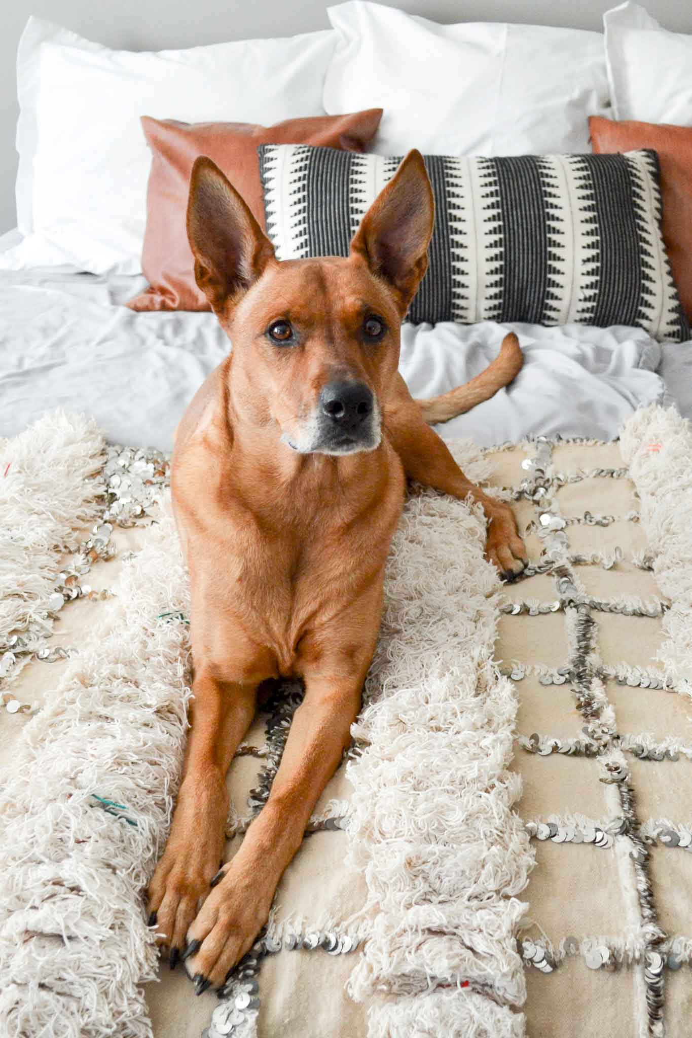 Charlie modeling bedding