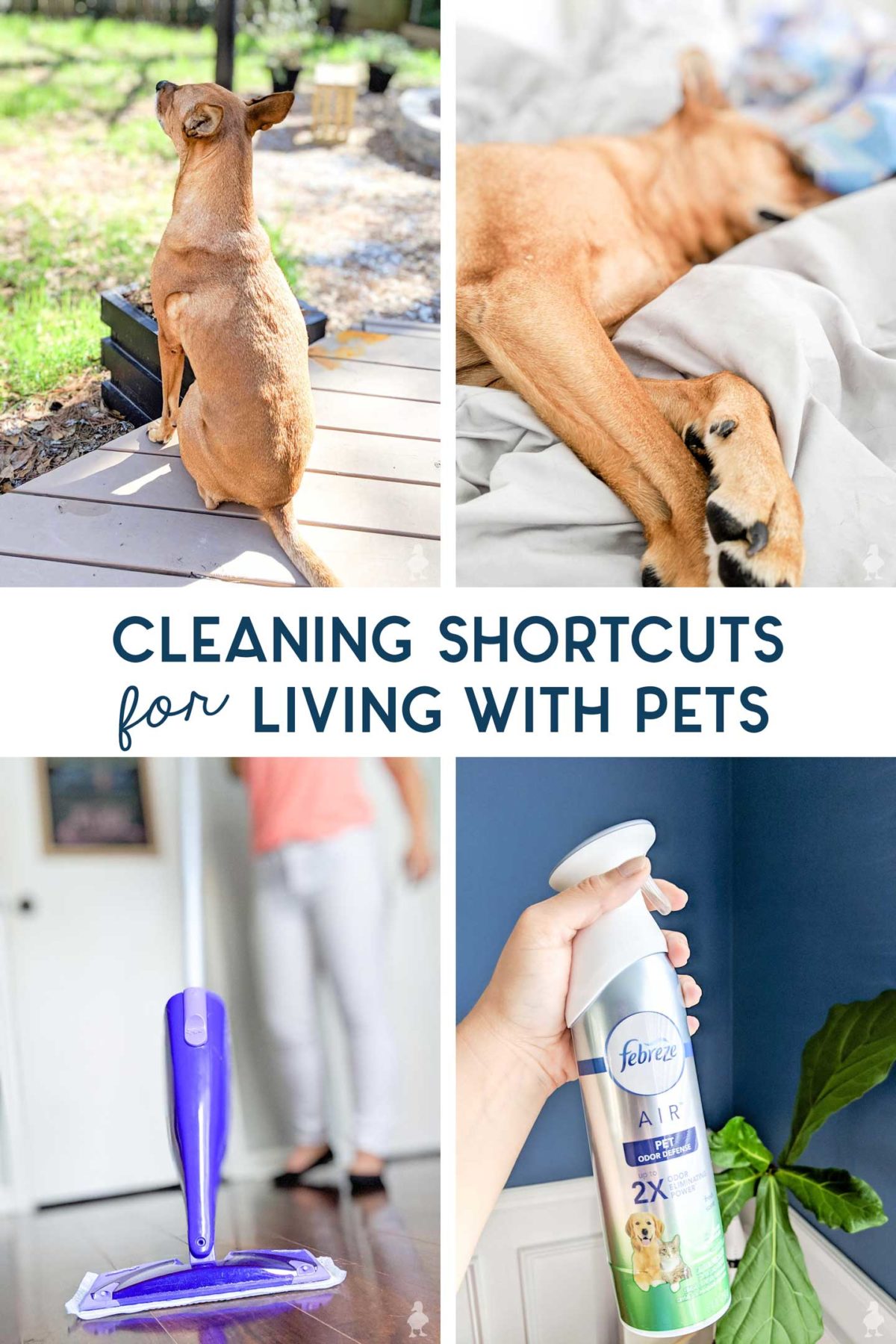 cleaning shortcuts for living with pets