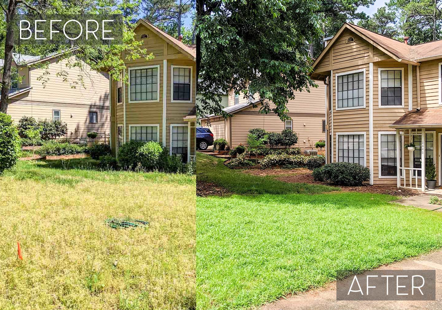 landscaping pictures before and after