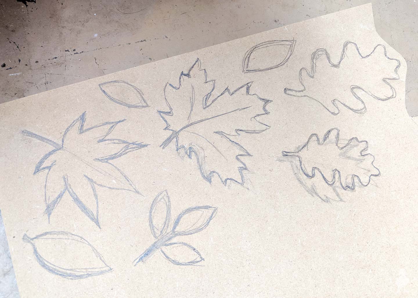 sketches of leaves on MDF