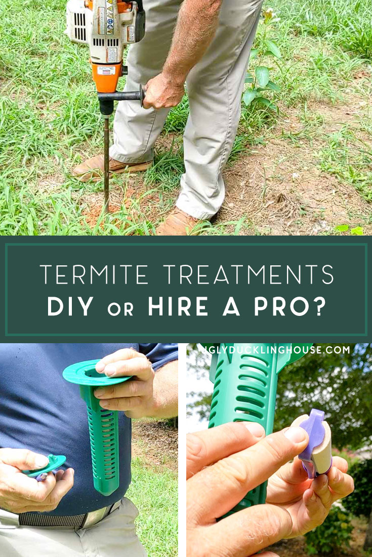 should you diy termite treatments or hire a pro