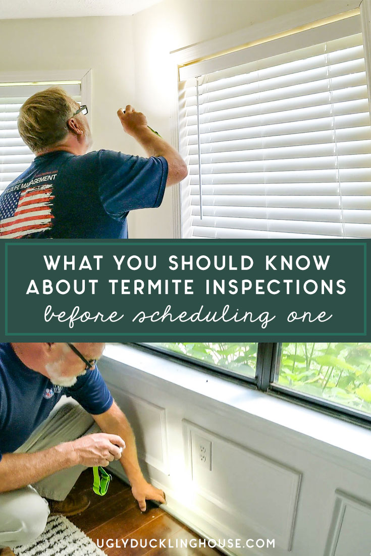 what to know about termite inspections