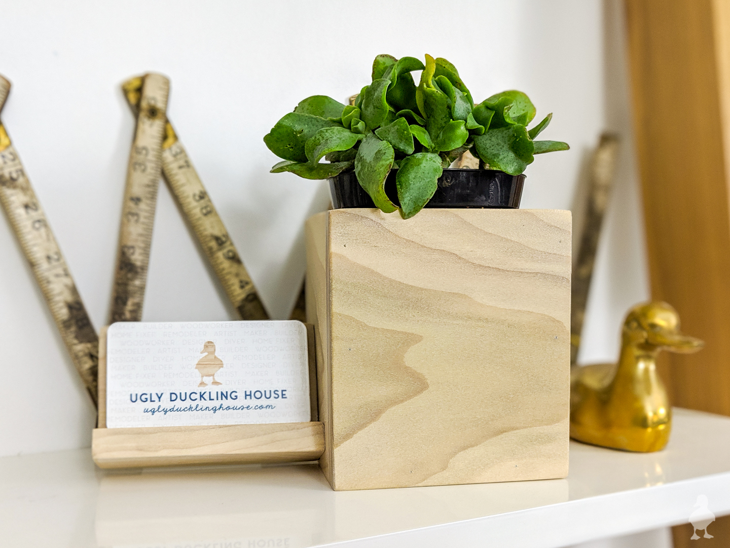 biz card holder with succulent planter combined