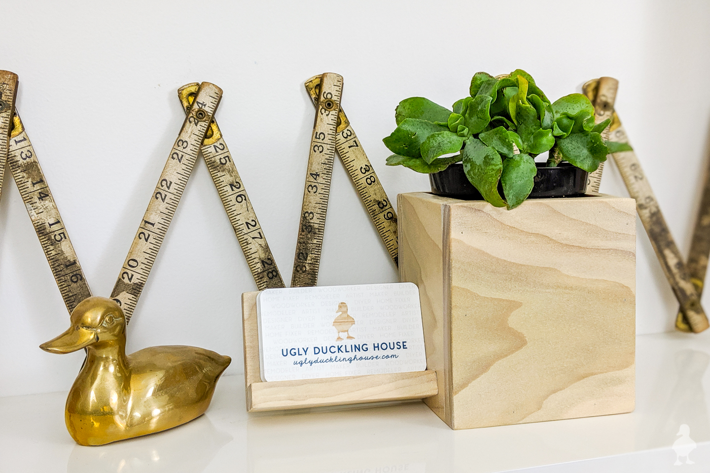 DIY Business Card Holder + Desk Planter • Ugly Duckling House