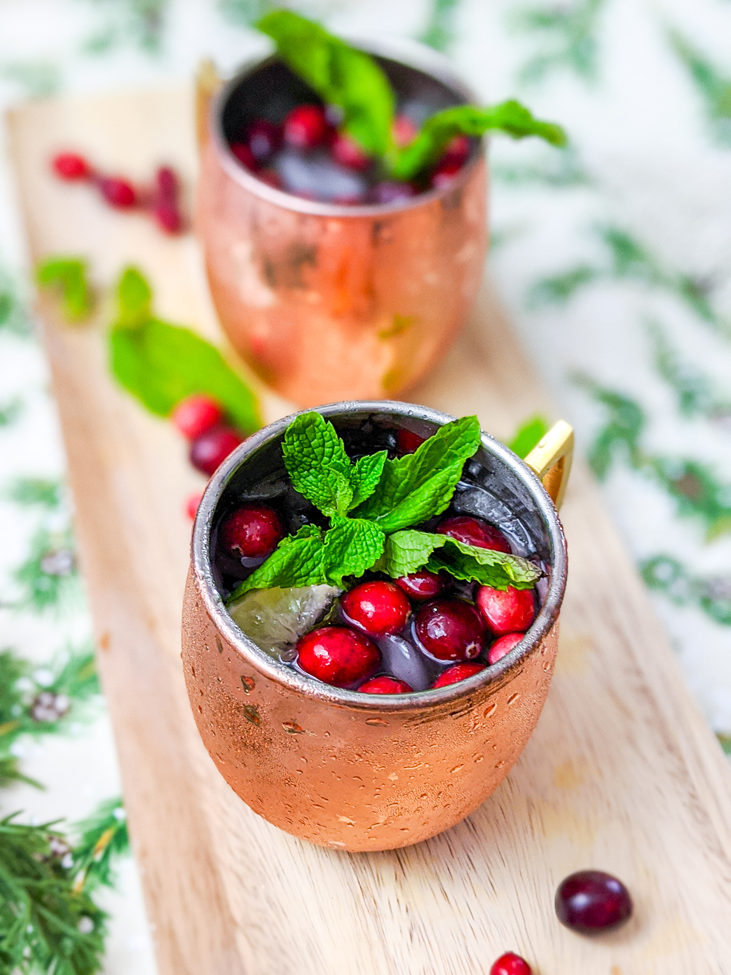 spiced cranberry moscow mule