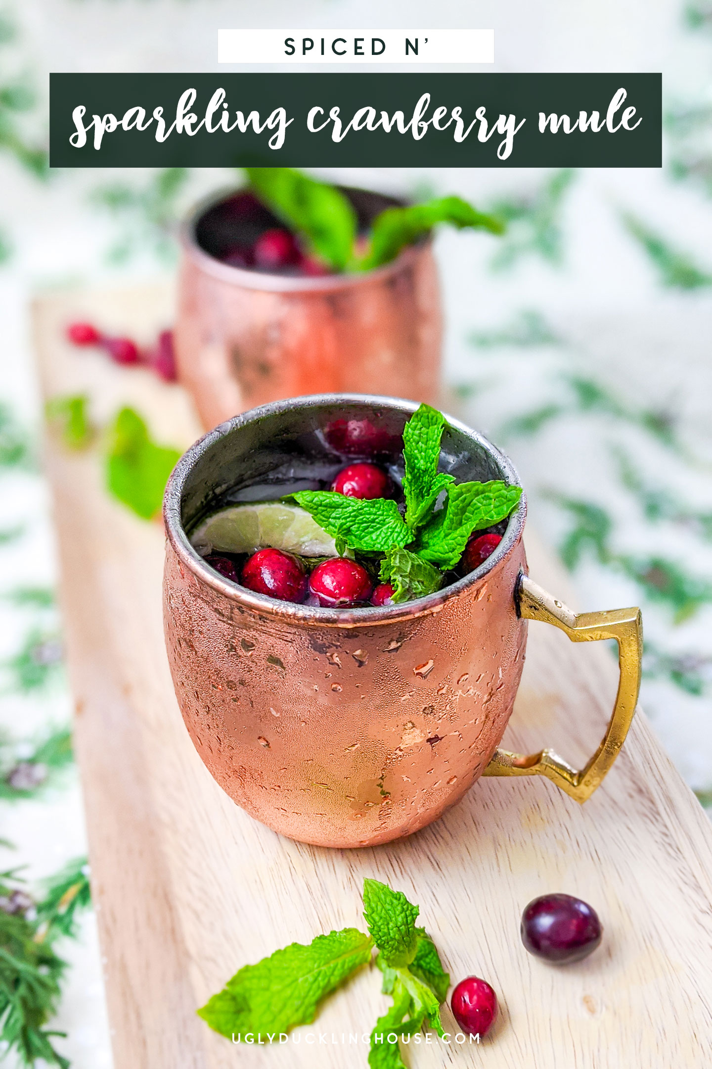 Sparkling Moscow Mule Cocktail Recipe