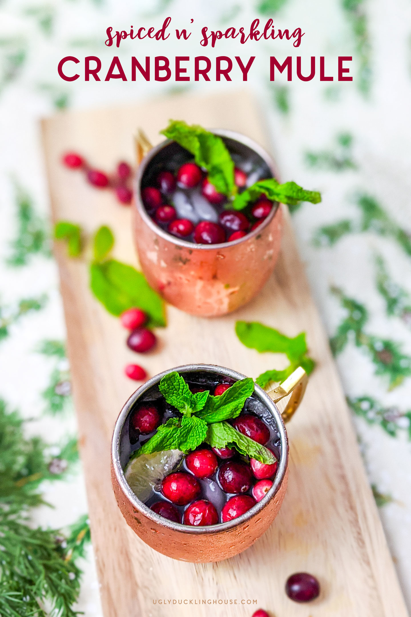 spiced n sparkling cranberry moscow mule with mint and lime