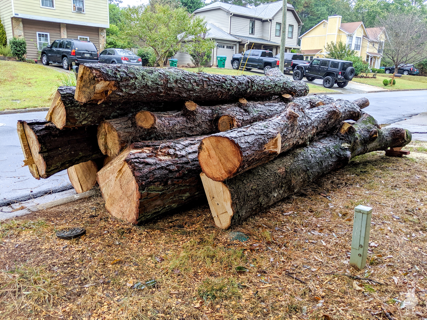 large log pile of pine and magnolia