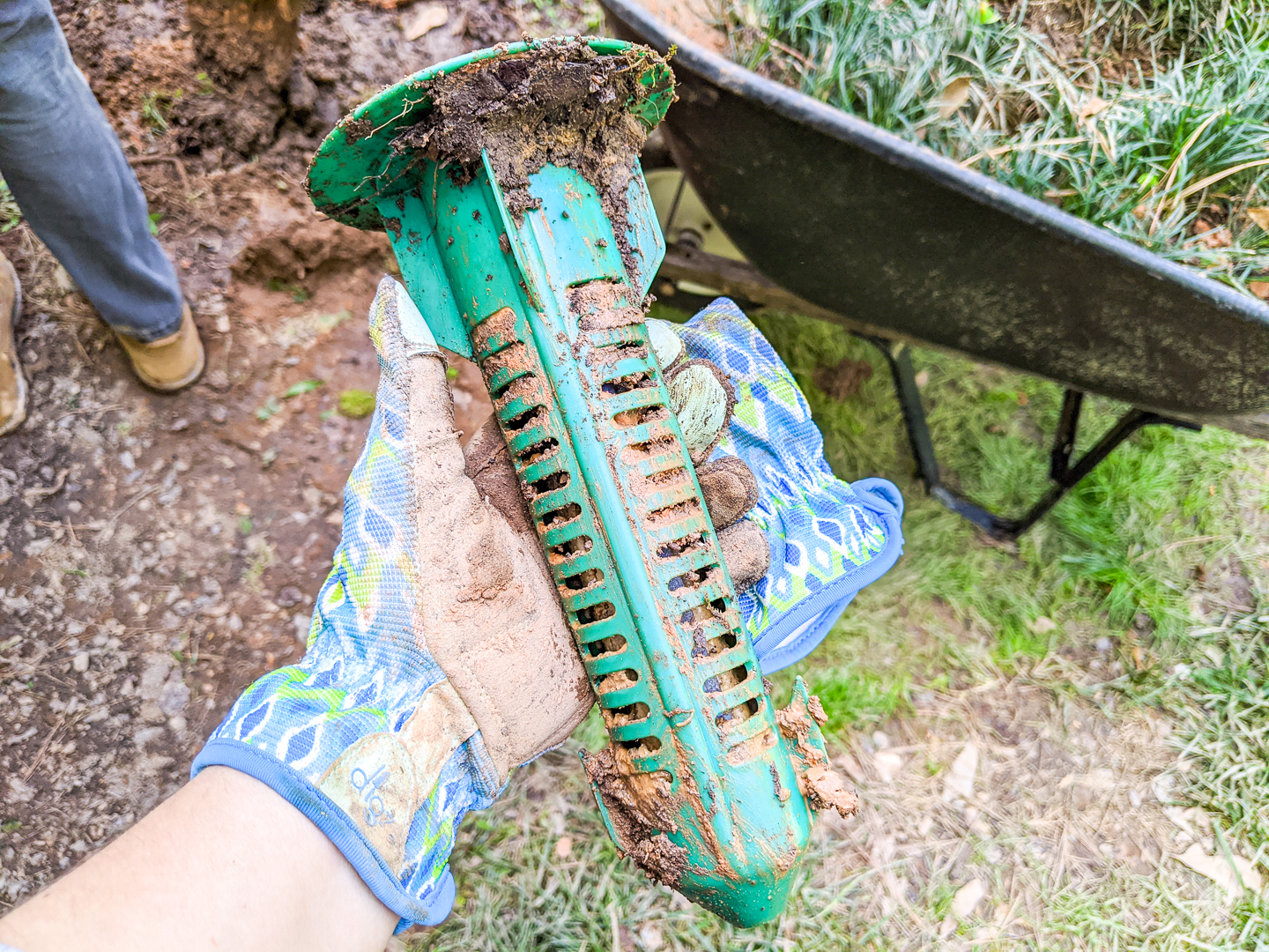 Sentricon Termite Treatment: One Year Later • Ugly Duckling House