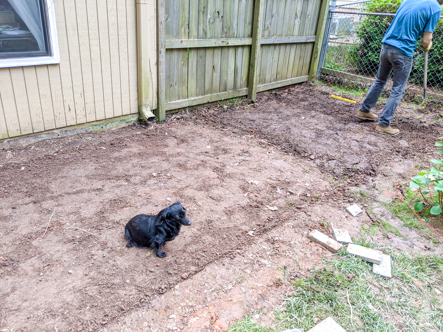 https://uglyducklinghouse.com/wp-content/uploads/2020/04/working-on-new-landscaping-back-yard-inspecting-termite-bait-stations-4.jpg