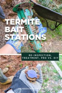 Sentricon Termite Treatment: One Year Later • Ugly Duckling House